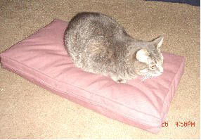 Poly Fill Filling - Pet Bed- Box Style